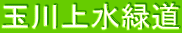 ʐ㐅Γ
