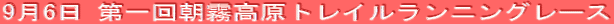 96 񒩖gCjO[X 
