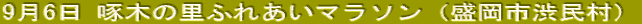96 ؂̗ӂꂠ}\isaj 